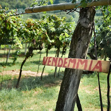 Massimago Wine Relais Mezzane di Sotto