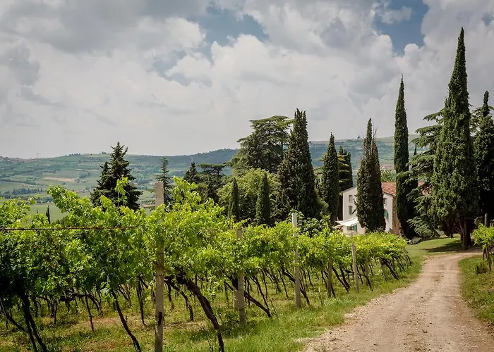 Lantgård Massimago Wine Relais Mezzane di Sotto