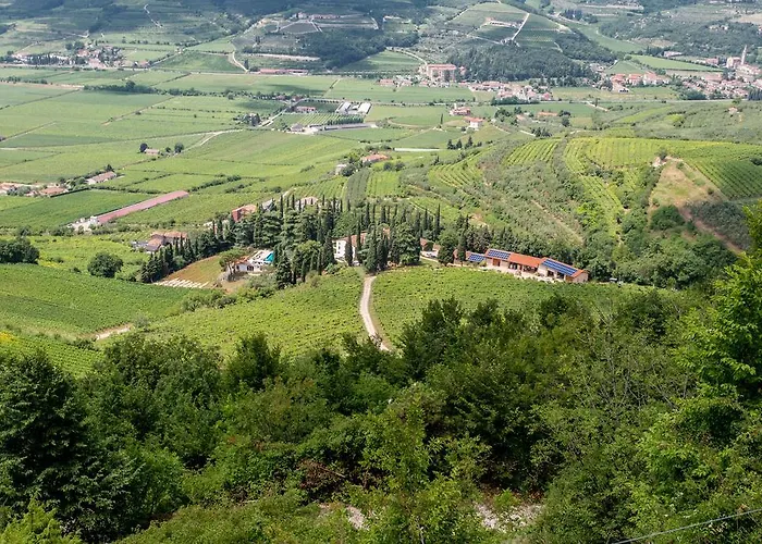 Massimago Wine Relais Lantgård Mezzane di Sotto