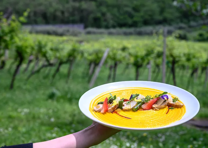 Massimago Wine Relais Lantgård Mezzane di Sotto