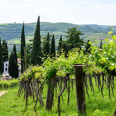 Bauernhof Massimago Wine Relais
