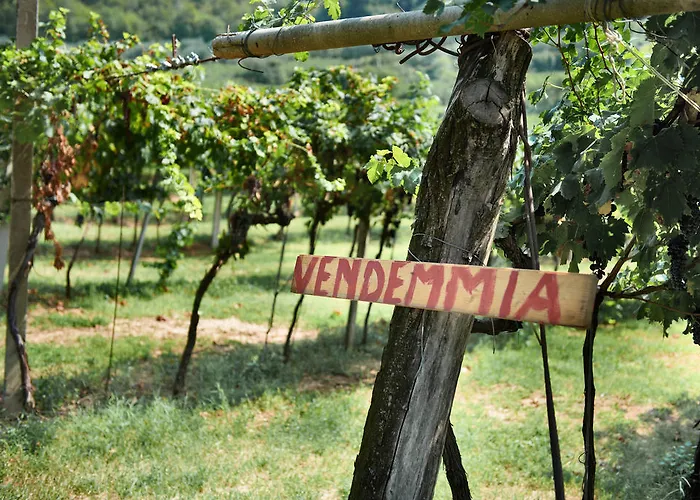 Massimago Wine Relais Mezzane di Sotto